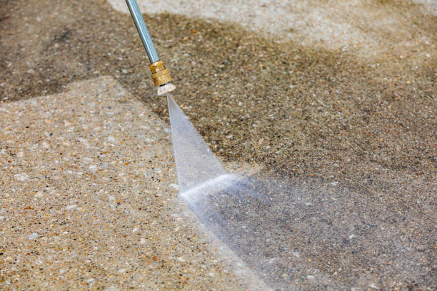 Animal Enclosure Cleaning in Caruthers, CA